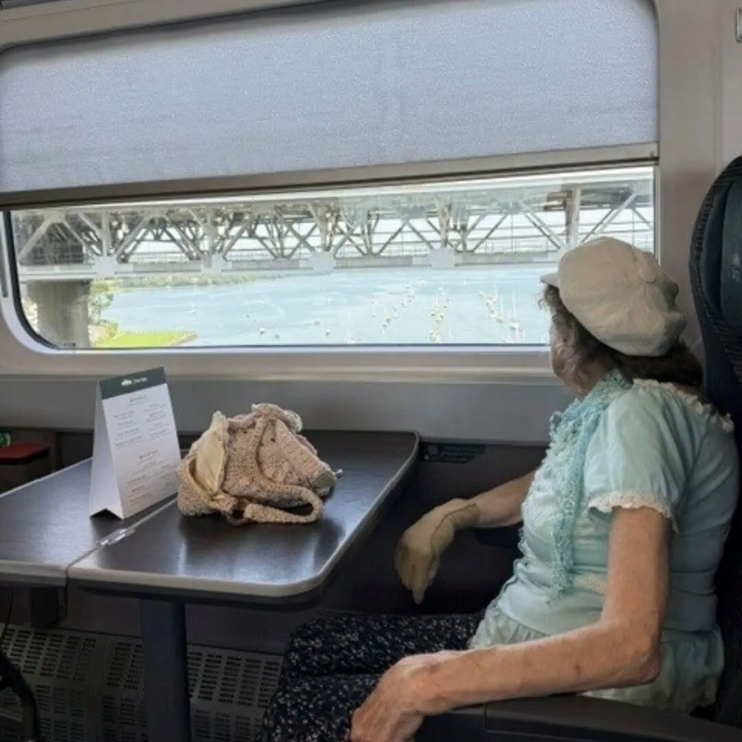 Hazel sitting beside the window during a supported train journey from Plymouth to Looe