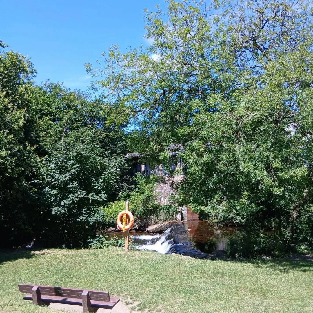 A green riverside area with a bench during Pat’s community visit