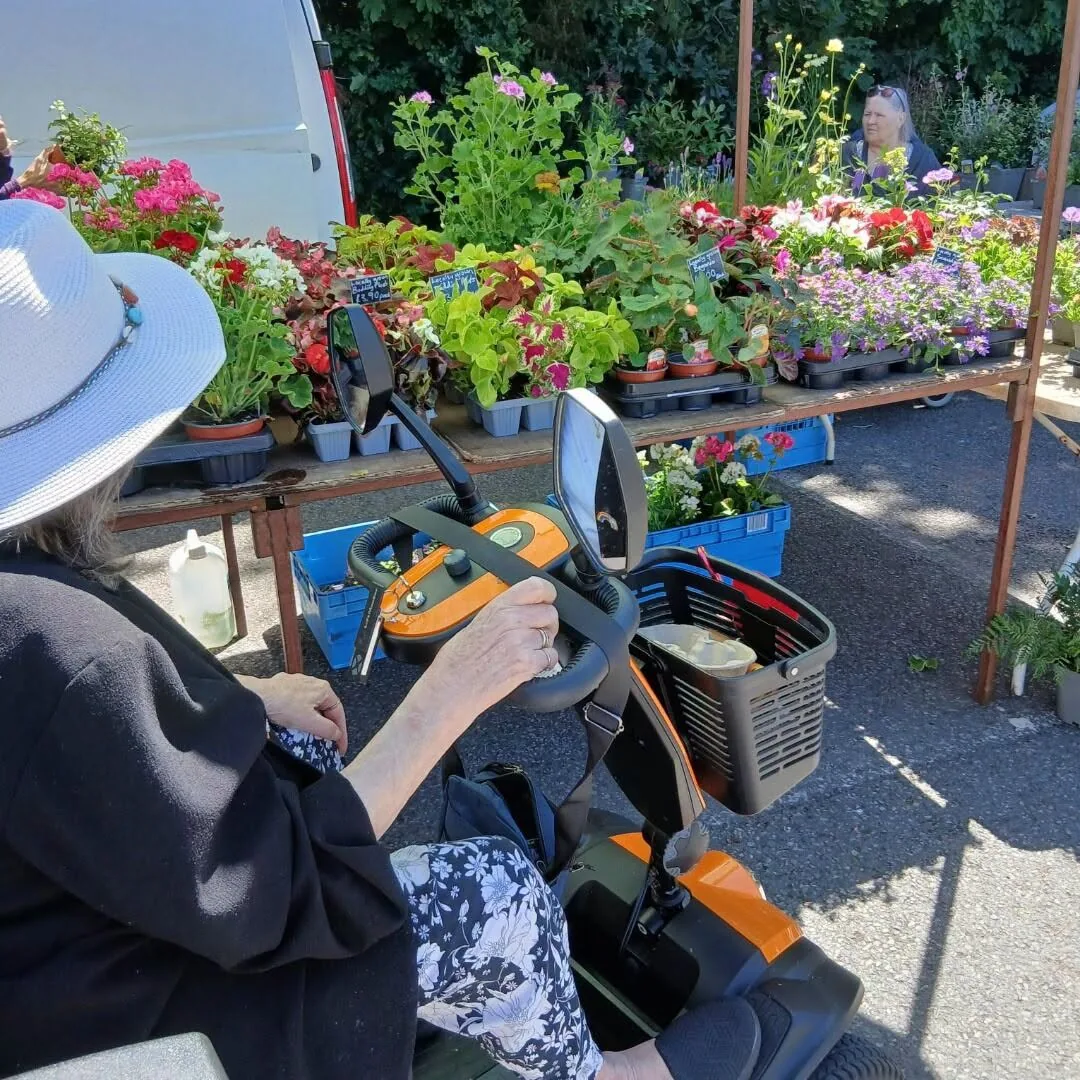 Pat browsing colourful plants from her mobility scooter at a local market
